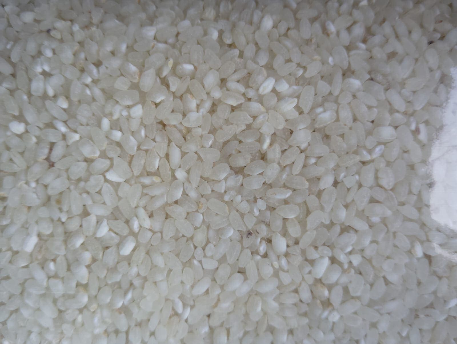 White medium-grain Non-Basmati rice